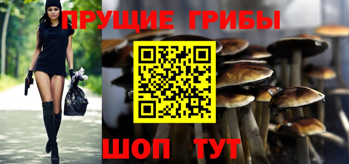 Псилоцибиновые грибы мицелий Черкесск