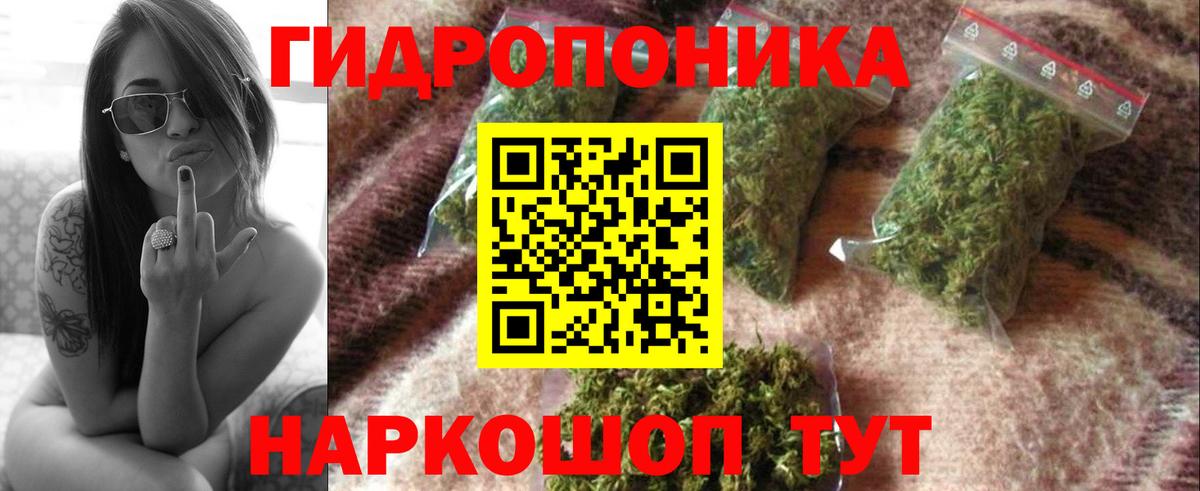 Бошки марихуана семена  Каннабис индика  Черкесск  Вход с VPN  Конопля SATIVA & INDICA 